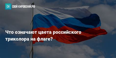 Обращение к истории: пути возникновения российского триколора на просторах Российской Империи