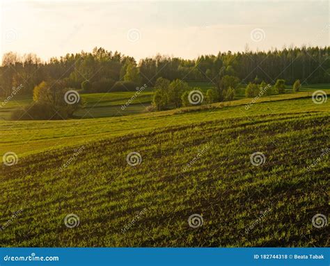 Обследуйте поля и фермерские угодья