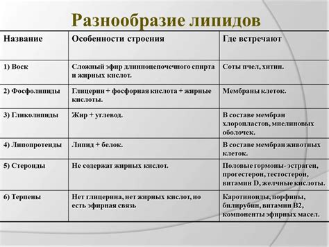 Общая структура и функции липидов в организме: биологические особенности и роли