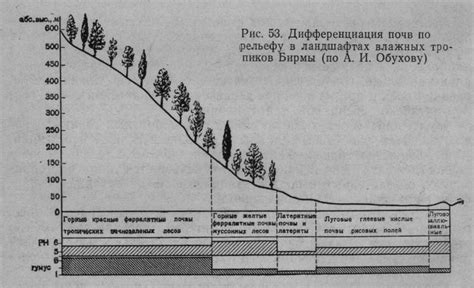 Общие характеристики красно-желтых ферраллитных почв