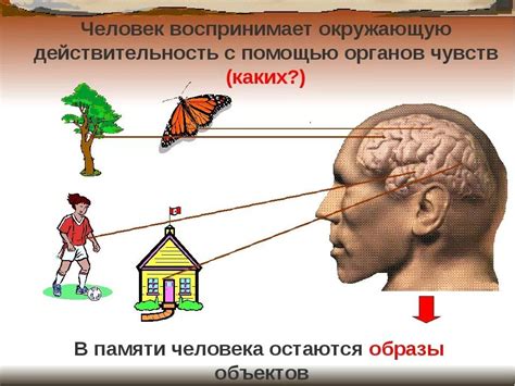 Объективность против субъективности: парадоксы восприятия реальности