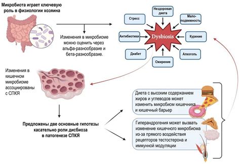 Объяснение механизмов взаимосвязи между стимуляцией яичников и изменением температуры