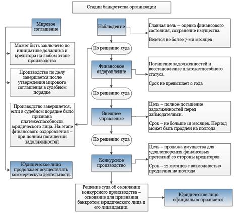 Ограничения и меры ограничения при учреждении организации юридическим лицом