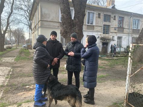 Ограничения на прогулки с собаками во дворах жилых домов: подробности и рекомендации