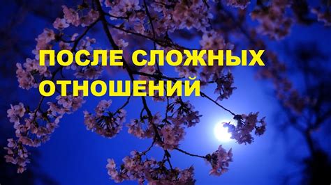 Одухотворенная химия: как взаимное понимание превращается в гармонию отношений