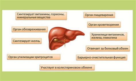 Оздоровление организма с помощью методов кинезиологии