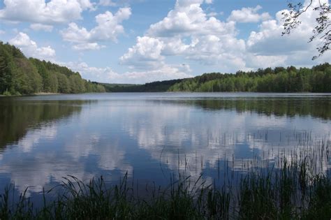 Озеро Большое Мамеевское - уютное рыболовное место среди пензенской природы