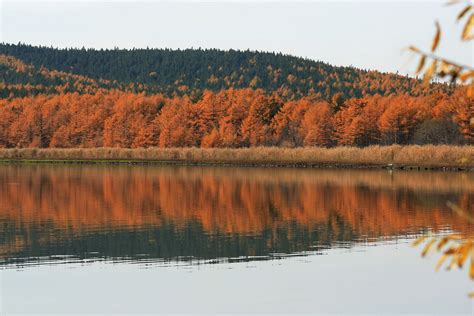 Озеро Охотское: источник Оки