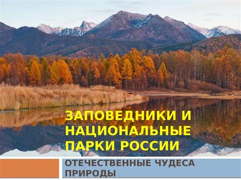 Ознакомьтесь с богатством природы наших заповедников и национальных парков