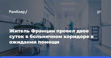 Оказание первой помощи животному с признаками отравления в домашней обстановке