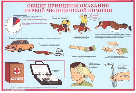 Оказание первой помощи при инциденте с отравлением у домашней живности