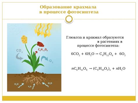 Окисление и разложение крахмала в процессе прогревания
