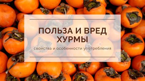 Омлет: благоприятные свойства и особенности употребления после неприятных симптомов