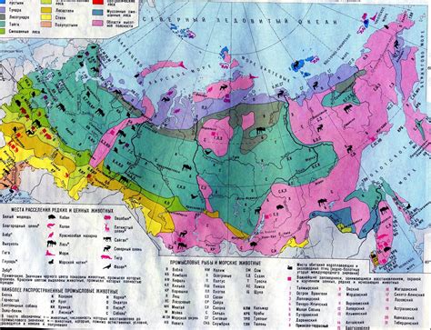 Опасности и ресурсы в пассивно-тепловой зоне