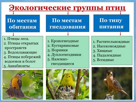 Опасность открытых пространств и водоемов: избегайте областей, привлекающих грозу