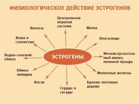 Опасный враг, таящийся в мужском организме