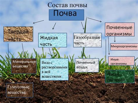 Описание, состав и особенности