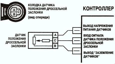 Описание внешнего вида и маркировки датчика дроссельной заслонки