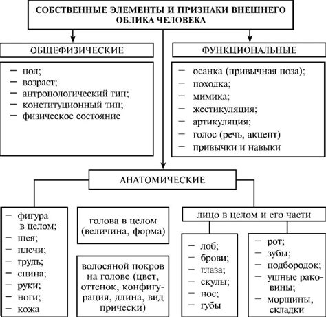 Описание внешнего облика и особенностей