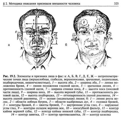 Описание внешнего облика фазана