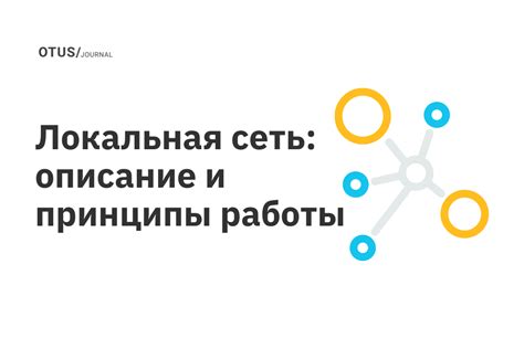 Описание функции и принципы работы