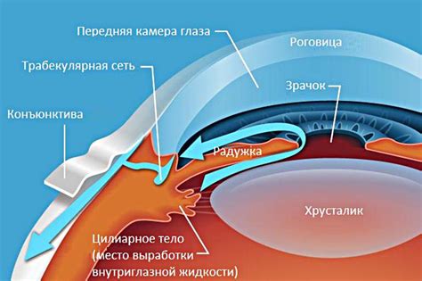 Опознавание передней и задней сторон линз: методы и рекомендации