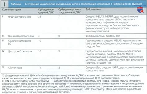 Определение гетероплазмии