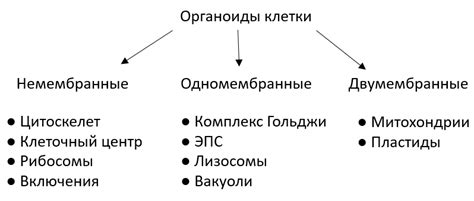 Определение и классификация гетеров