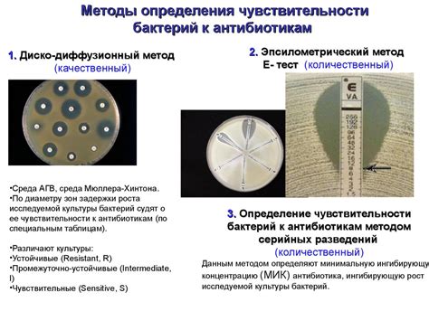 Определение и методы измерения чувствительности мыши