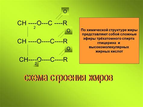 Определение компонентов жиров и их структура