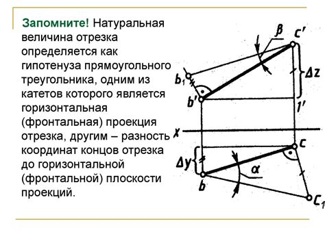 Определение наклона прямой через график: эффективные пути и подходы