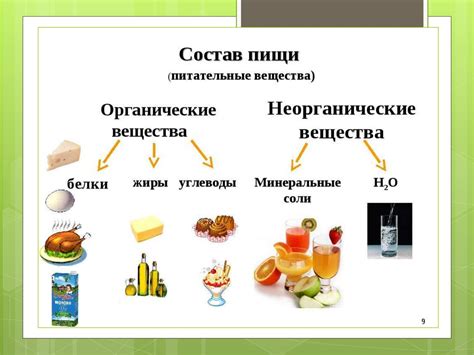 Определение наличия казеина в продуктах и способы избежать связанных проблем