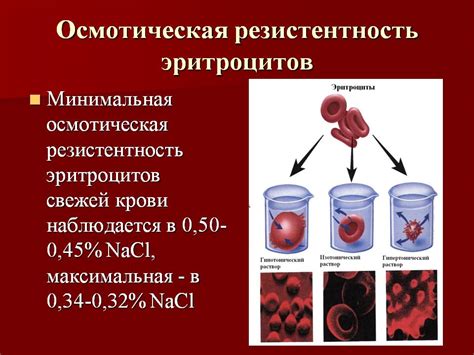 Определение повышенного содержания гипохромных эритроцитов