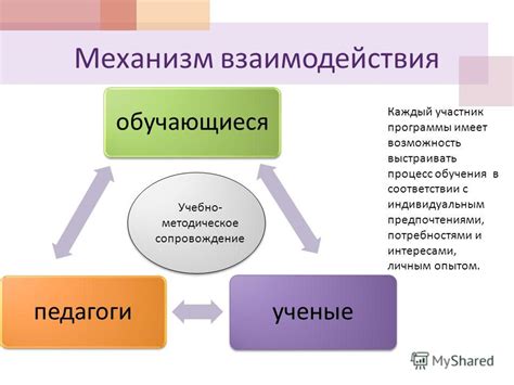 Определение пропорции в соответствии с предпочтениями и потребностями