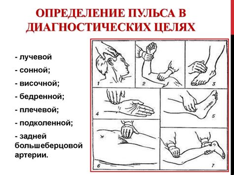 Определение пульса в состоянии без сознания: шаги по традиционным методам