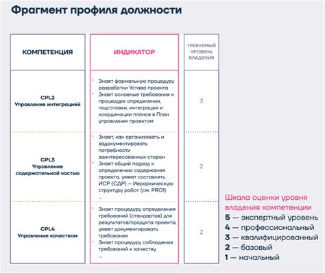 Определение собственных компетенций и предпочтений