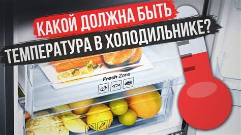 Оптимальная расстановка продуктов в холодильнике для энергосбережения