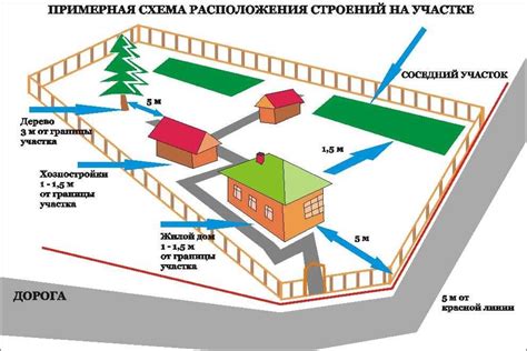 Оптимальная схема и расстояние при размещении грушевого кустарника на участке