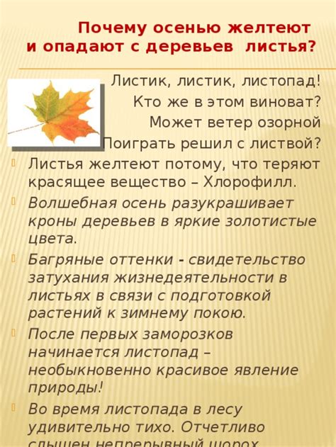 Оптимальное время для удаления падающих листьев в преддверии зимы