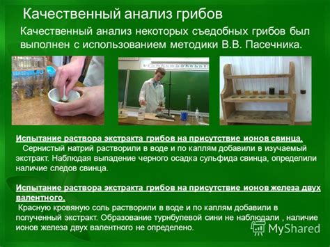 Оптимальное использование раствора после насыщения грибов водой