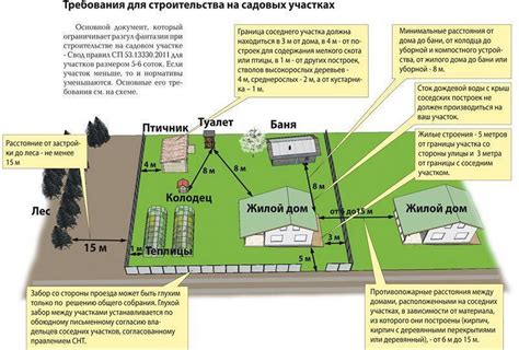 Оптимальное расположение роз на вашей земельном участке, важность правильного освещения