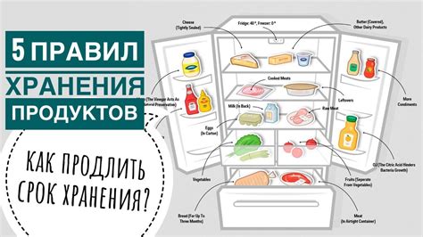 Оптимальное распределение продуктов внутри холодильника