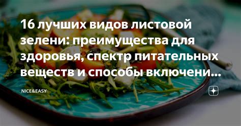 Оптимальные способы включения крабовых палочек в рацион при симптомах расстройства желудка