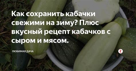 Оптимальные условия хранения кабачков в холодильнике