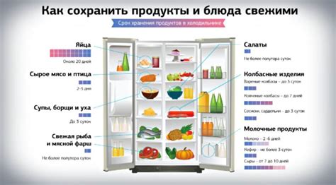 Оптимальные условия хранения продуктов в холодильнике: подбор оптимальной температуры