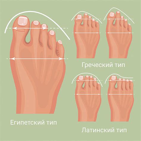 Оптимальный выбор: как подобрать обувь, соответствующую вашему размеру ноги