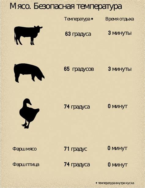 Оптимальный способ приготовления мяса: правильная температура и продолжительность сушки