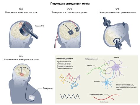 Оптимизация работы мозга: эффективные подходы к предотвращению и лечению психических расстройств