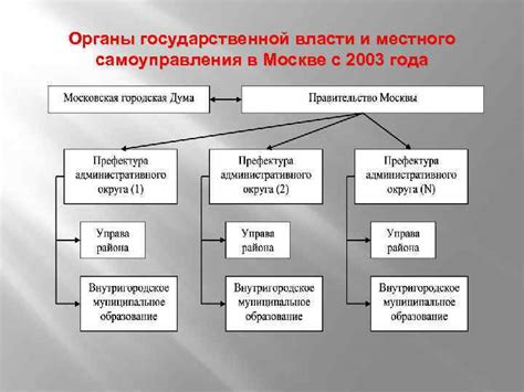 Организации местного самоуправления и государственные структуры города