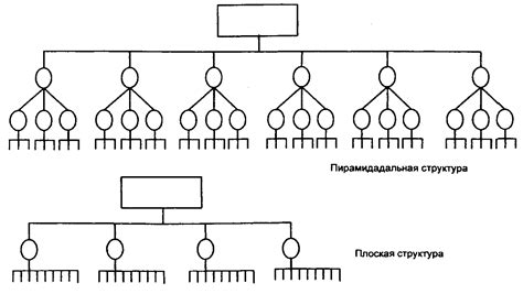 Организационная структура и распределение задач